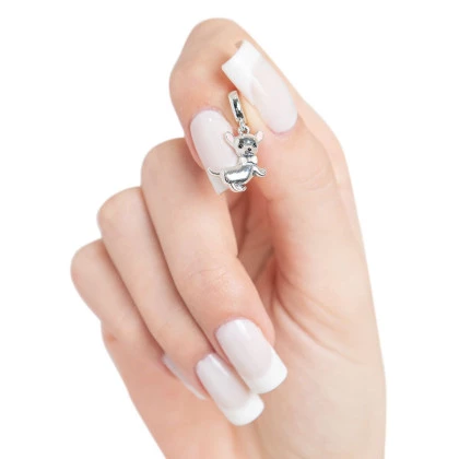 berloque-charm-pet-prata925.jpg